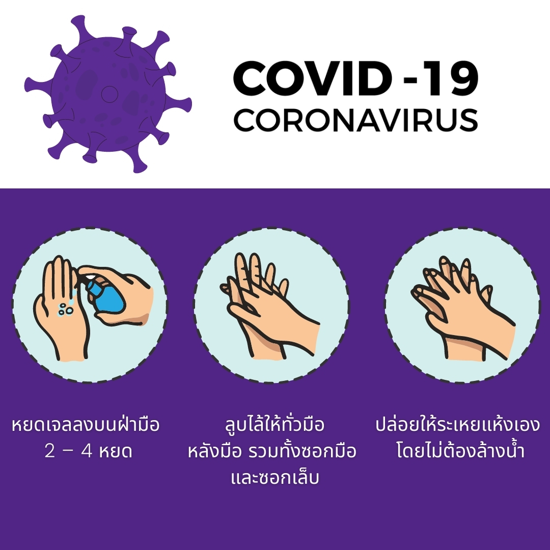 3-ขั้นตอน-ทำความสะอาดมือ-ด้วยแอลกอฮอล์เจลที่ถูกต้อง thai-herbs.thdata.co | 3-ขั้นตอน-ทำความสะอาดมือ-ด้วยแอลกอฮอล์เจลที่ถูกต้อง สรรพคุณ สมุนไพร ไทย 