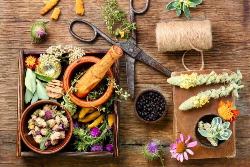 สมุนไพรไทย-ป้องกันโรค-ช่วงหน้าหนาว thai-herbs.thdata.co | สมุนไพรไทย-ป้องกันโรค-ช่วงหน้าหนาว สรรพคุณ สมุนไพร ไทย 