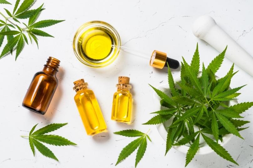ครอบครองกัญชาผิดไหม thai-herbs.thdata.co | ครอบครองกัญชาผิดไหม สรรพคุณ สมุนไพร ไทย 