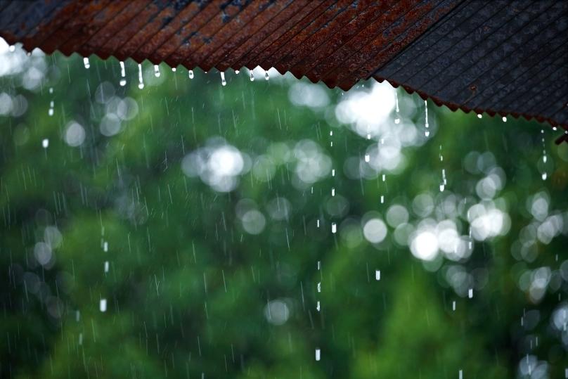 ทำไมฝนตก-ถึงทำให้เรา-นอนหลับ-ได้ลึกขึ้น thai-herbs.thdata.co | ทำไมฝนตก-ถึงทำให้เรา-นอนหลับ-ได้ลึกขึ้น สรรพคุณ สมุนไพร ไทย 