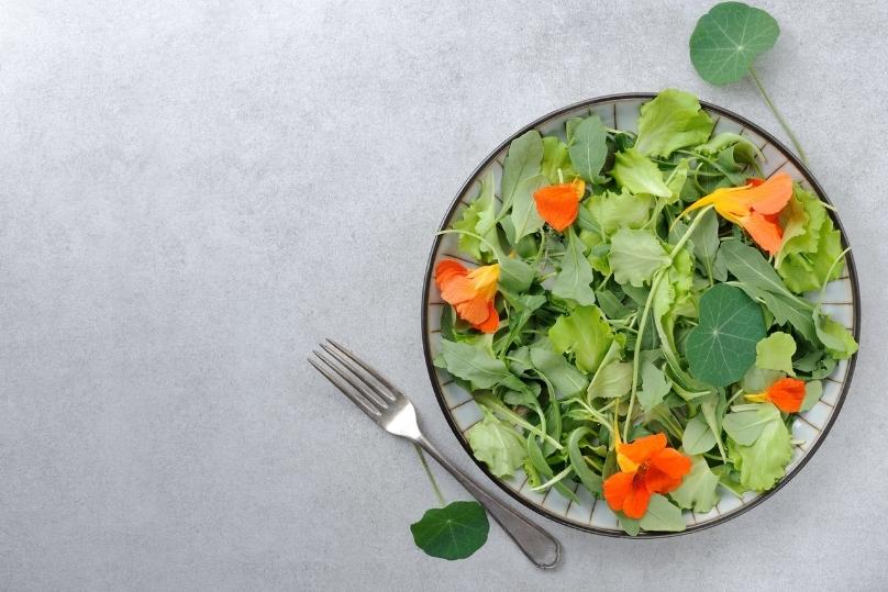 15-ดอกไม้กินได้-2 thai-herbs.thdata.co | 15-ดอกไม้กินได้-2 สรรพคุณ สมุนไพร ไทย 