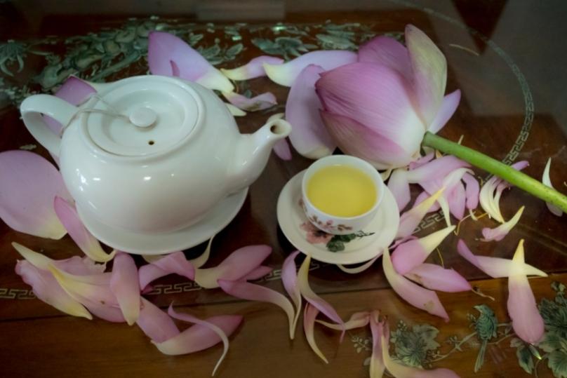15-ดอกไม้กินได้-2 thai-herbs.thdata.co | 15-ดอกไม้กินได้-2 สรรพคุณ สมุนไพร ไทย 