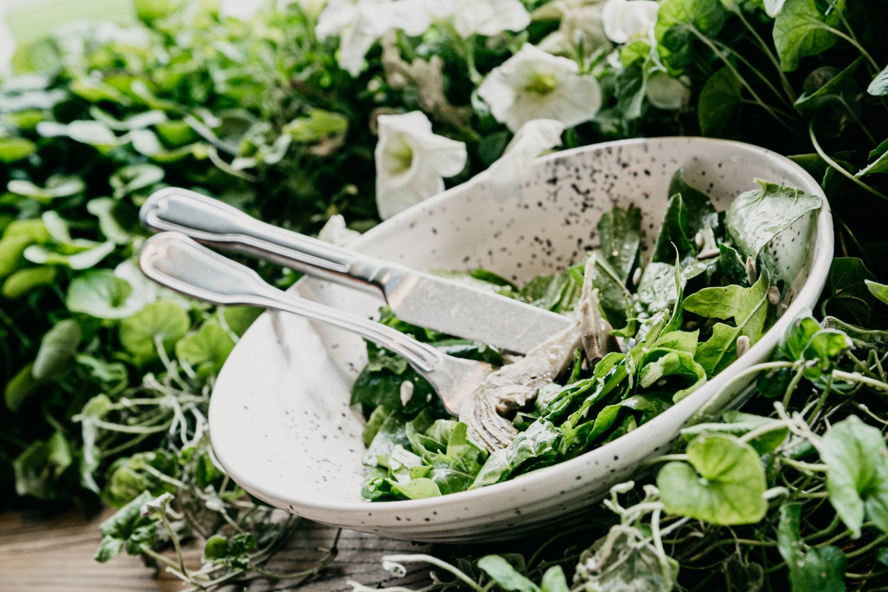 พันธุกรรมกับความดันโลหิตสูงหรือไม่ thai-herbs.thdata.co | พันธุกรรมกับความดันโลหิตสูงหรือไม่ สรรพคุณ สมุนไพร ไทย 