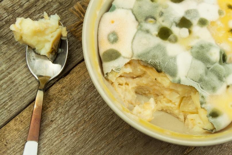 โรคอาหารเป็นพิษ-Food-poisoning thai-herbs.thdata.co | โรคอาหารเป็นพิษ-Food-poisoning สรรพคุณ สมุนไพร ไทย 