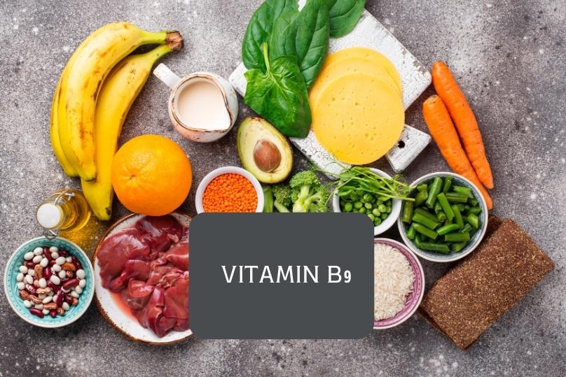 วิตามินบี9-VitaminB9-Folate thai-herbs.thdata.co | วิตามินบี9-VitaminB9-Folate สรรพคุณ สมุนไพร ไทย 