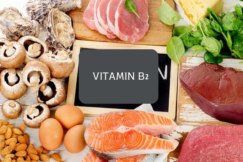 วิตามินบี2-VitaminB2-Riboflavin thai-herbs.thdata.co | วิตามินบี2-VitaminB2-Riboflavin สรรพคุณ สมุนไพร ไทย 
