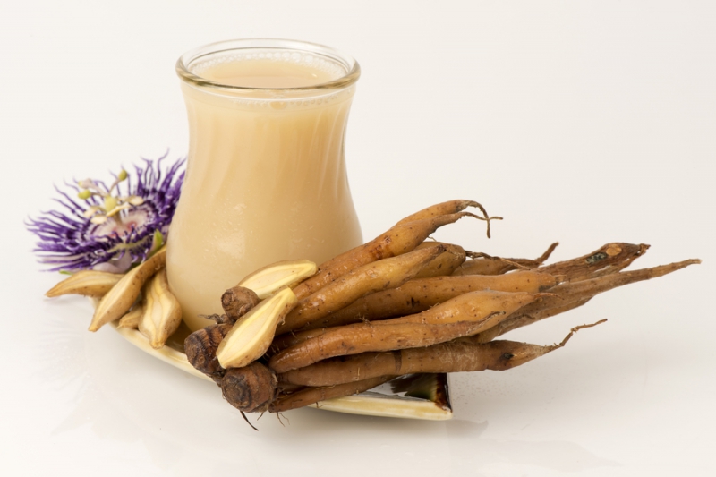 เมนูจากสมุนไพร-กระชายขาว-น้ำกระชาย thai-herbs.thdata.co | เมนูจากสมุนไพร-กระชายขาว-น้ำกระชาย สรรพคุณ สมุนไพร ไทย 