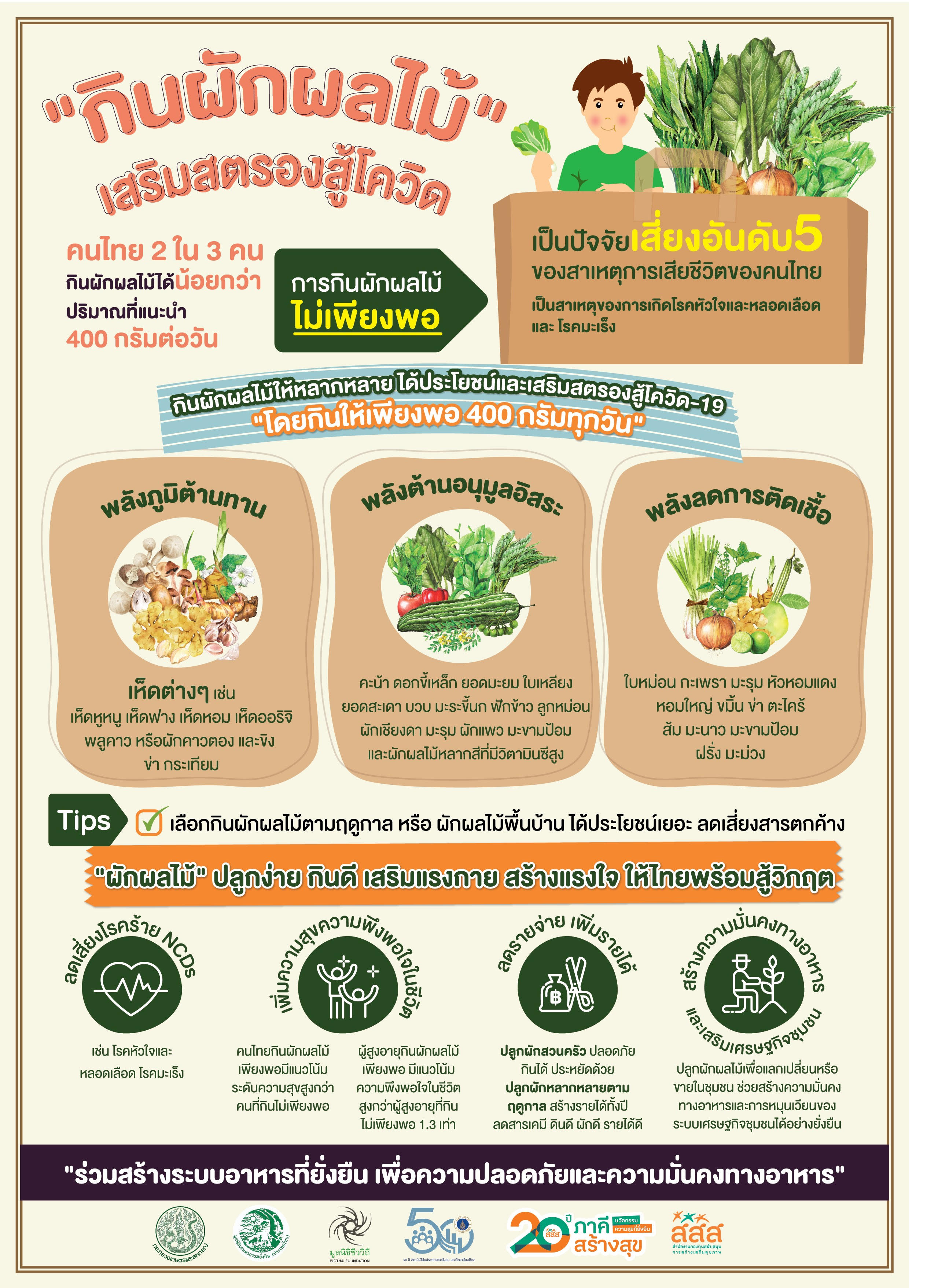 กินผักผลไม้_เสริมสตรองสู้โควิด thai-herbs.thdata.co | กินผักผลไม้_เสริมสตรองสู้โควิด สรรพคุณ สมุนไพร ไทย 