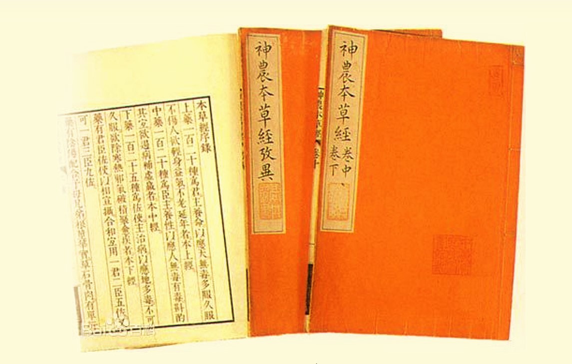3. -ยุคก่อกำเนิดทฤษฎีการแพทย์จีน-(Origin-of-Traditional-Chines-Medicine-Theory)-จากยุคจั้นกั๋ว-(ยุครณรัฐ)-ถึงยุคสามก๊ก-(San-Guo)-(475-ปี-ก่อนคริสต์ศักราช-ถึง-ค.ศ.-265) thai-herbs.thdata.co | 3. -ยุคก่อกำเนิดทฤษฎีการแพทย์จีน-(Origin-of-Traditional-Chines-Medicine-Theory)-จากยุคจั้นกั๋ว-(ยุครณรัฐ)-ถึงยุคสามก๊ก-(San-Guo)-(475-ปี-ก่อนคริสต์ศักราช-ถึง-ค.ศ.-265) สรรพคุณ สมุนไพร ไทย 