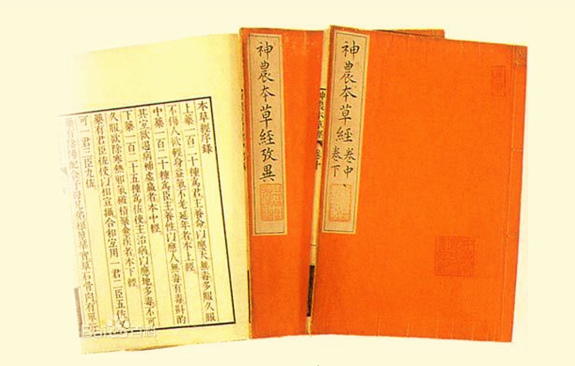 3. -ยุคก่อกำเนิดทฤษฎีการแพทย์จีน-(Origin-of-Traditional-Chines-Medicine-Theory)-จากยุคจั้นกั๋ว-(ยุครณรัฐ)-ถึงยุคสามก๊ก-(San-Guo)-(475-ปี-ก่อนคริสต์ศักราช-ถึง-ค.ศ.-265) thai-herbs.thdata.co | 3. -ยุคก่อกำเนิดทฤษฎีการแพทย์จีน-(Origin-of-Traditional-Chines-Medicine-Theory)-จากยุคจั้นกั๋ว-(ยุครณรัฐ)-ถึงยุคสามก๊ก-(San-Guo)-(475-ปี-ก่อนคริสต์ศักราช-ถึง-ค.ศ.-265) สรรพคุณ สมุนไพร ไทย