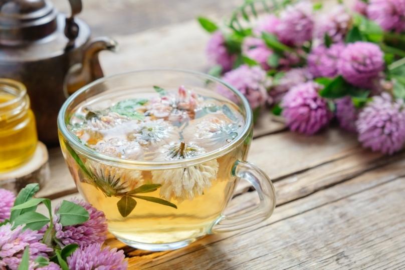 10-ชาดอกไม้-ช่วยนอนหลับ-แอนติออกซิเเดนท์สูง thai-herbs.thdata.co | 10-ชาดอกไม้-ช่วยนอนหลับ-แอนติออกซิเเดนท์สูง สรรพคุณ สมุนไพร ไทย 
