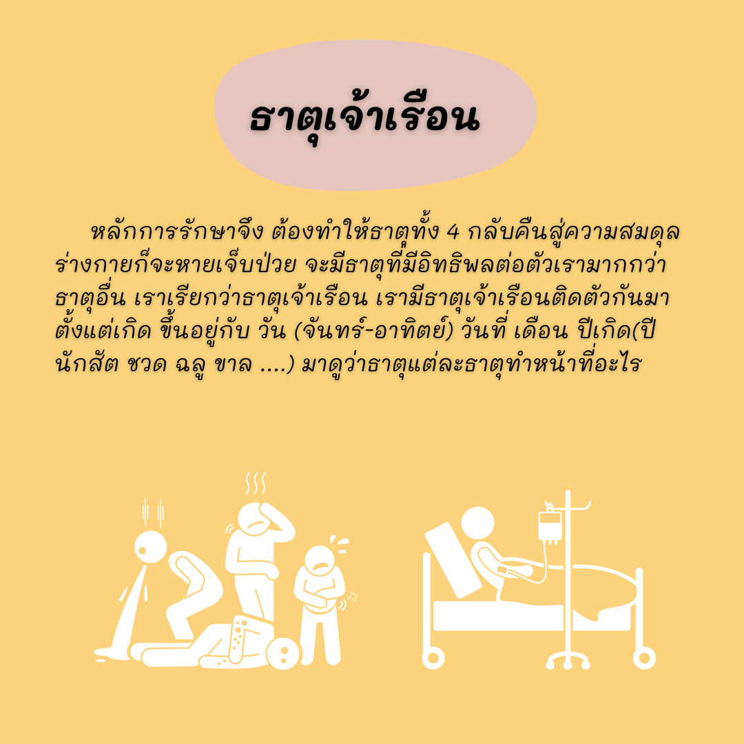 ธาตุเจ้าเรือนกับการเจ็บป่วย thai-herbs.thdata.co | ธาตุเจ้าเรือนกับการเจ็บป่วย สรรพคุณ สมุนไพร ไทย 