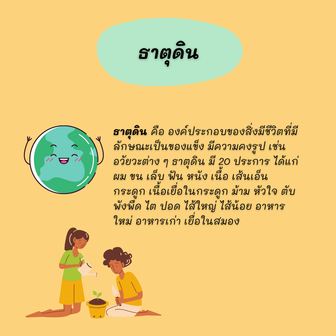 ธาตุเจ้าเรือนกับการเจ็บป่วย thai-herbs.thdata.co | ธาตุเจ้าเรือนกับการเจ็บป่วย สรรพคุณ สมุนไพร ไทย 
