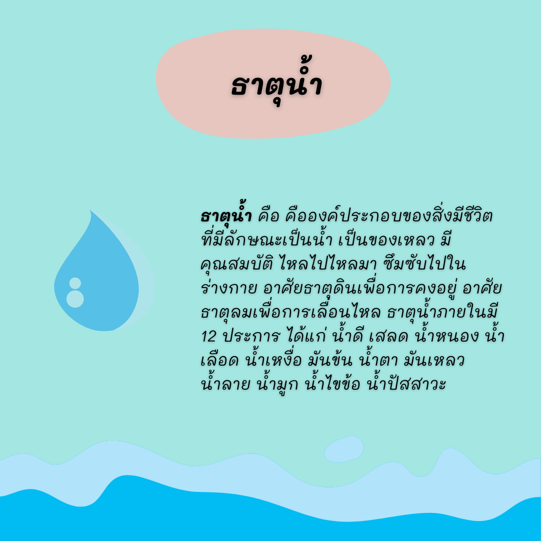 ธาตุเจ้าเรือนกับการเจ็บป่วย thai-herbs.thdata.co | ธาตุเจ้าเรือนกับการเจ็บป่วย สรรพคุณ สมุนไพร ไทย 
