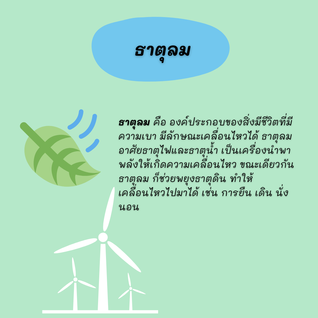 ธาตุเจ้าเรือนกับการเจ็บป่วย thai-herbs.thdata.co | ธาตุเจ้าเรือนกับการเจ็บป่วย สรรพคุณ สมุนไพร ไทย 