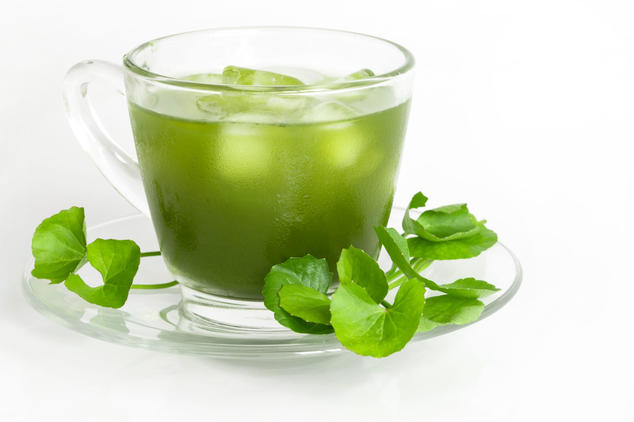 เมนูจากสมุนไพร-บัวบก thai-herbs.thdata.co | เมนูจากสมุนไพร-บัวบก สรรพคุณ สมุนไพร ไทย 