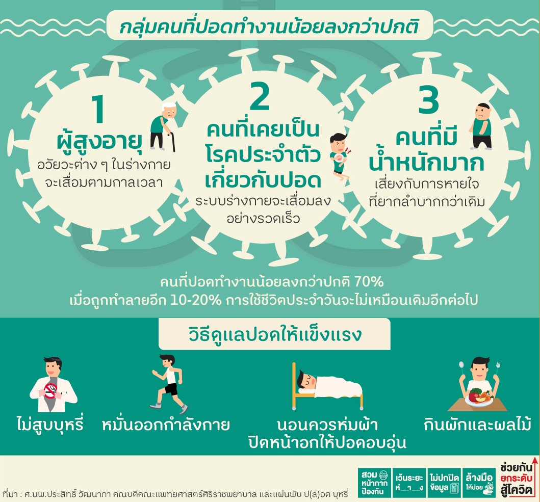 ปอดเสี่ยง-เลี่ยงโควิด-19 thai-herbs.thdata.co | ปอดเสี่ยง-เลี่ยงโควิด-19 สรรพคุณ สมุนไพร ไทย 