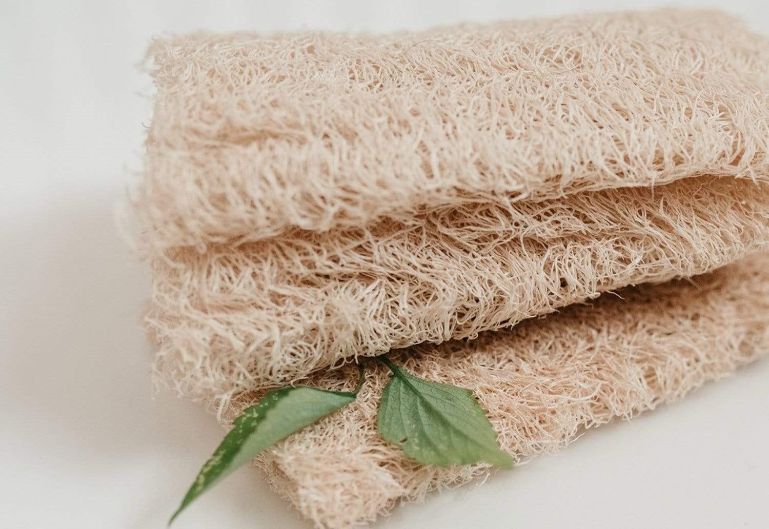 วิธีให้ความชุ่มชื่นแก่ผิวขณะอาบน้ำ thai-herbs.thdata.co | วิธีให้ความชุ่มชื่นแก่ผิวขณะอาบน้ำ สรรพคุณ สมุนไพร ไทย 