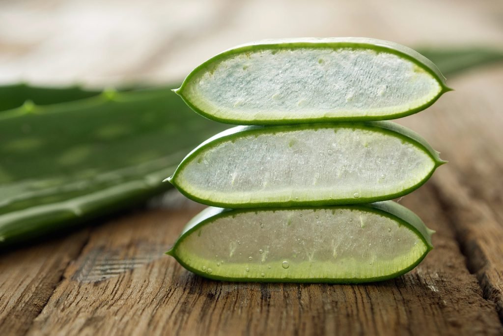 ผิวสวยด้วยว่านหางจระเข้ thai-herbs.thdata.co | ผิวสวยด้วยว่านหางจระเข้ สรรพคุณ สมุนไพร ไทย 