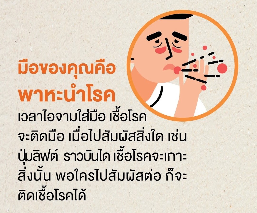 มือของคุณอาจเป็นตัวการแพร่เชื้อไวรัสโควิด-19 thai-herbs.thdata.co | มือของคุณอาจเป็นตัวการแพร่เชื้อไวรัสโควิด-19 สรรพคุณ สมุนไพร ไทย 