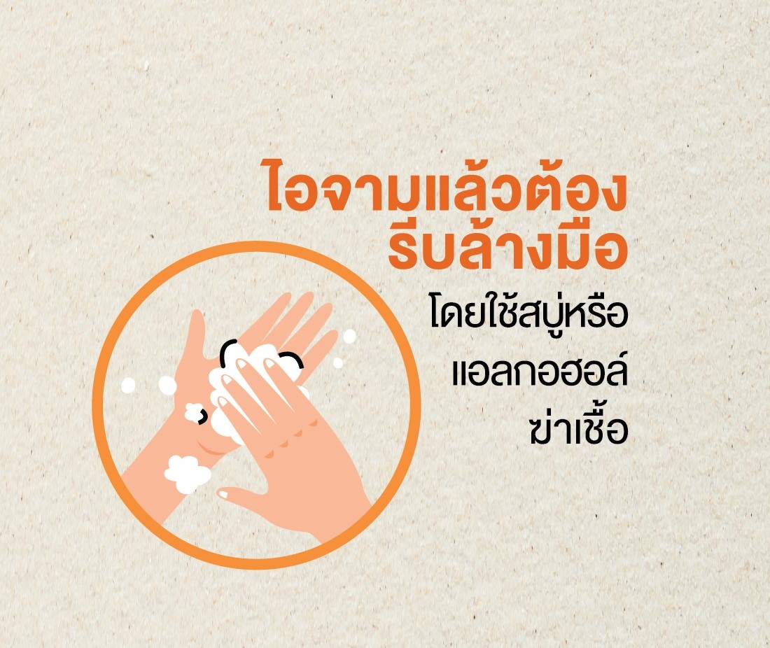มือของคุณอาจเป็นตัวการแพร่เชื้อไวรัสโควิด-19 thai-herbs.thdata.co | มือของคุณอาจเป็นตัวการแพร่เชื้อไวรัสโควิด-19 สรรพคุณ สมุนไพร ไทย 