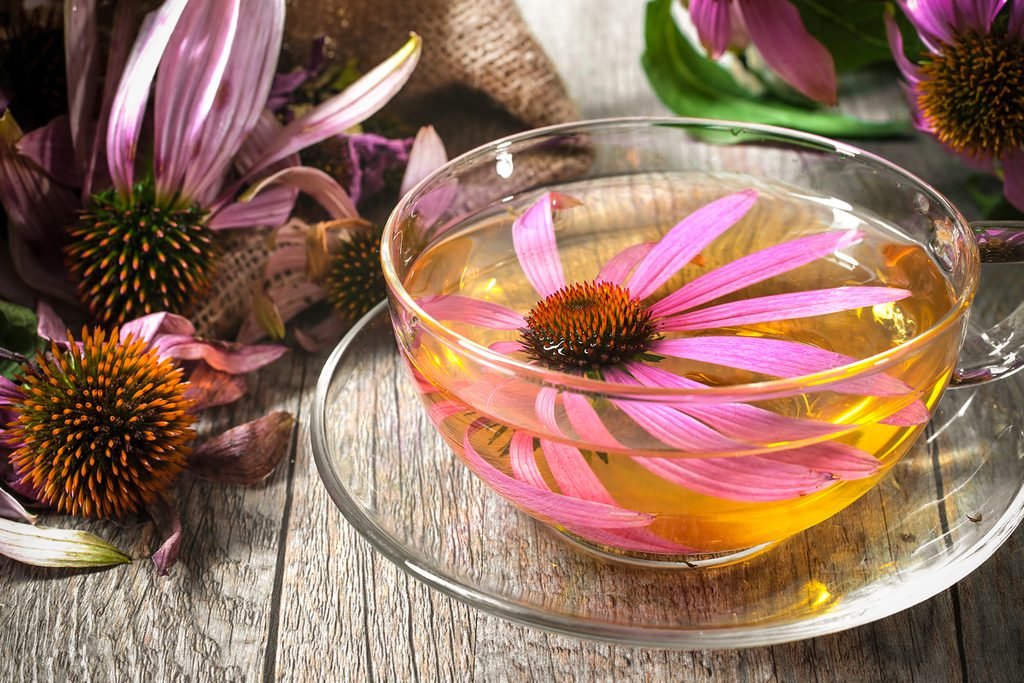สิว-วิธีจัดการสิวเจ้าปัญหาที่บ้าน thai-herbs.thdata.co | สิว-วิธีจัดการสิวเจ้าปัญหาที่บ้าน สรรพคุณ สมุนไพร ไทย 