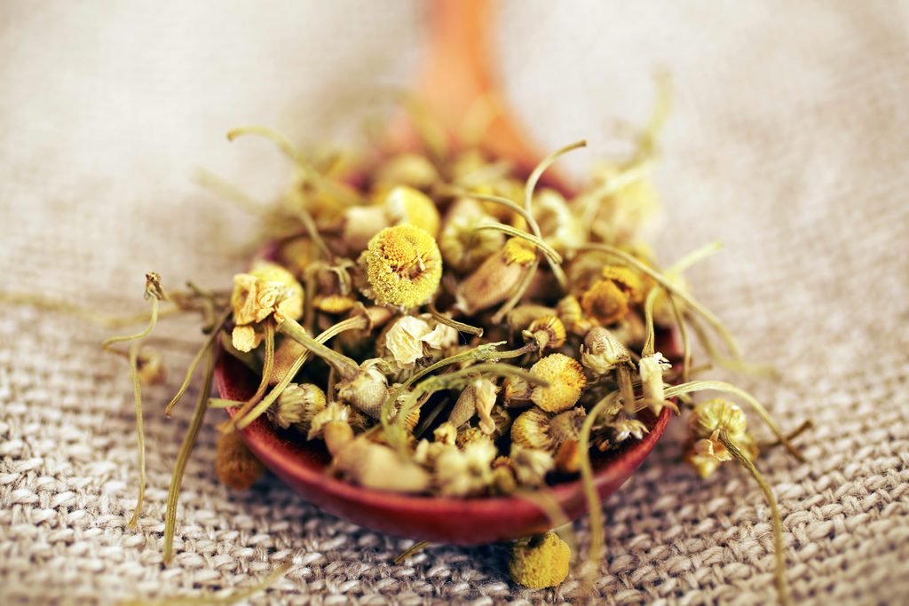 สิว-วิธีจัดการสิวเจ้าปัญหาที่บ้าน thai-herbs.thdata.co | สิว-วิธีจัดการสิวเจ้าปัญหาที่บ้าน สรรพคุณ สมุนไพร ไทย 