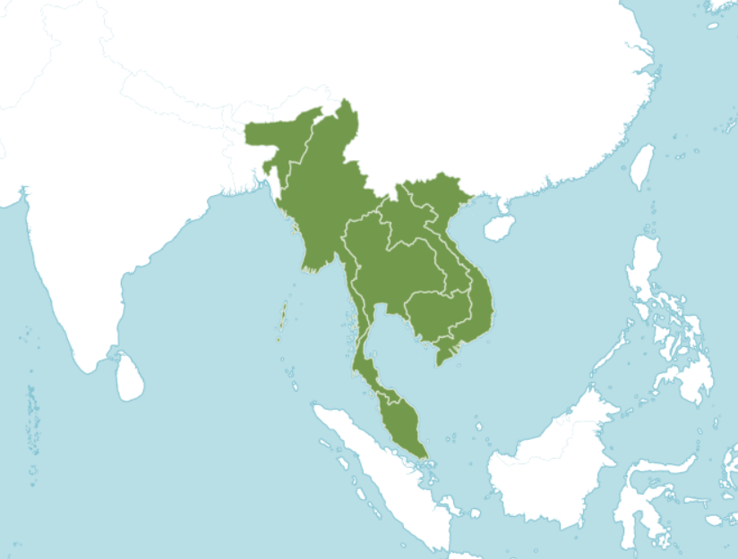 หญ้านาง-ย่านาง thai-herbs.thdata.co | หญ้านาง-ย่านาง สรรพคุณ สมุนไพร ไทย 