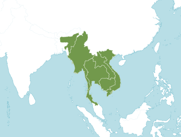 อัญชันป่า thai-herbs.thdata.co | อัญชันป่า สรรพคุณ สมุนไพร ไทย 