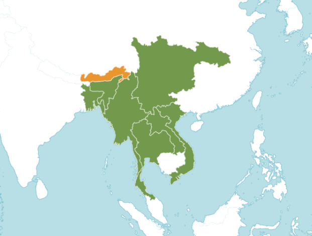 เต่าเกียด thai-herbs.thdata.co | เต่าเกียด สรรพคุณ สมุนไพร ไทย 