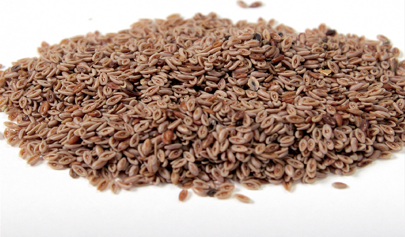 รักษาระดับน้ำตาลในเลือดของคุณให้คงที่ thai-herbs.thdata.co | รักษาระดับน้ำตาลในเลือดของคุณให้คงที่ สรรพคุณ สมุนไพร ไทย 