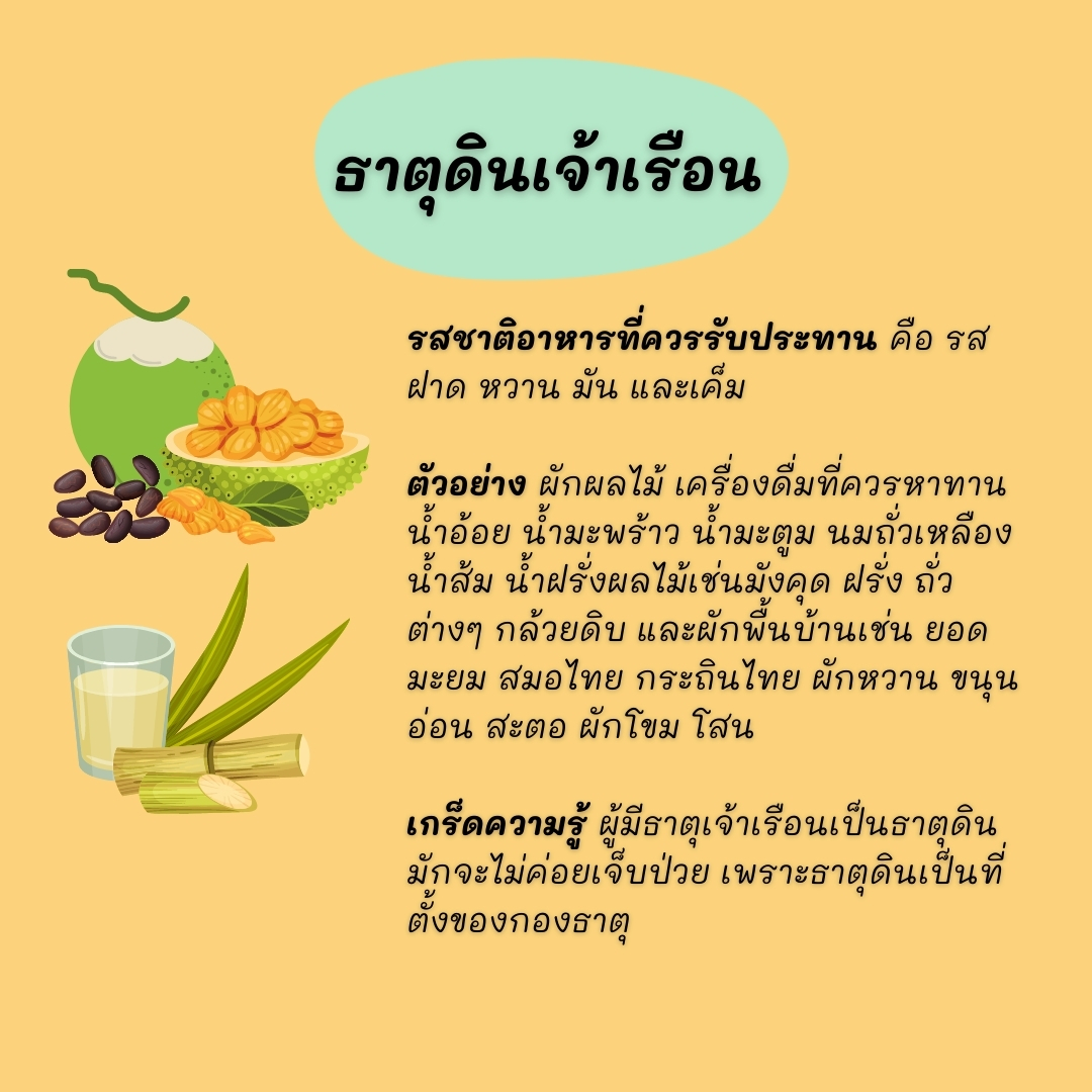 ใครคือ-ธาตุดินเจ้าเรือน? thai-herbs.thdata.co | ใครคือ-ธาตุดินเจ้าเรือน? สรรพคุณ สมุนไพร ไทย 