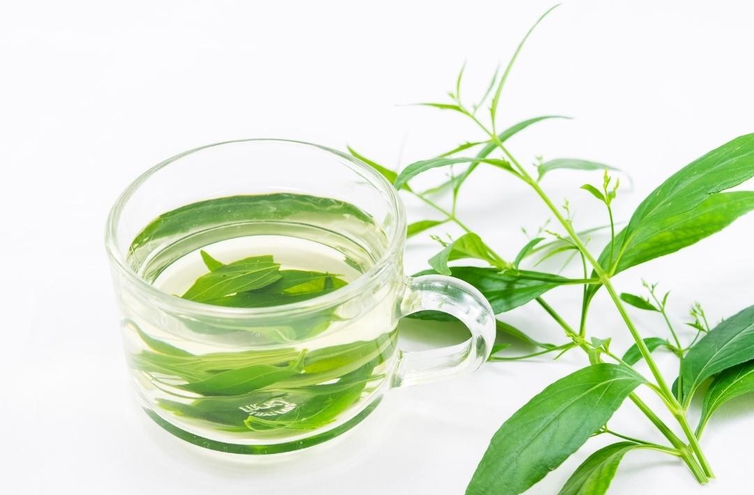 โรคเบาหวาน-กับ-สมุนไพรที่ได้รับการวิจัย-ฟ้าทะลายโจร thai-herbs.thdata.co | โรคเบาหวาน-กับ-สมุนไพรที่ได้รับการวิจัย-ฟ้าทะลายโจร สรรพคุณ สมุนไพร ไทย 