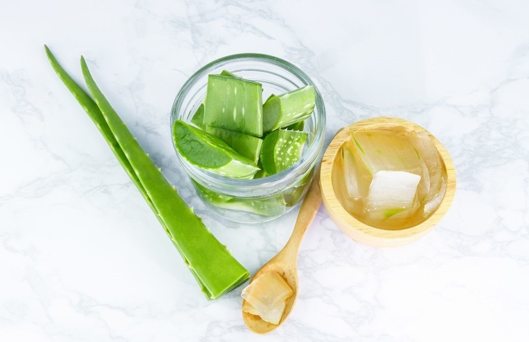 โรคเบาหวาน-กับ-สมุนไพรที่ได้รับการวิจัย-ว่านหางจระเข้ thai-herbs.thdata.co | โรคเบาหวาน-กับ-สมุนไพรที่ได้รับการวิจัย-ว่านหางจระเข้ สรรพคุณ สมุนไพร ไทย 