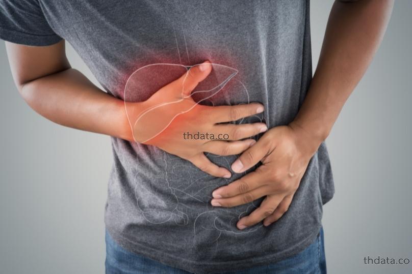 โรคตับ-Liver-disease สมุนไพร โรคตับ-Liver-disease สรรพคุณของโรคตับ-Liver-disease thai-herbs.thdata.co thdata.co