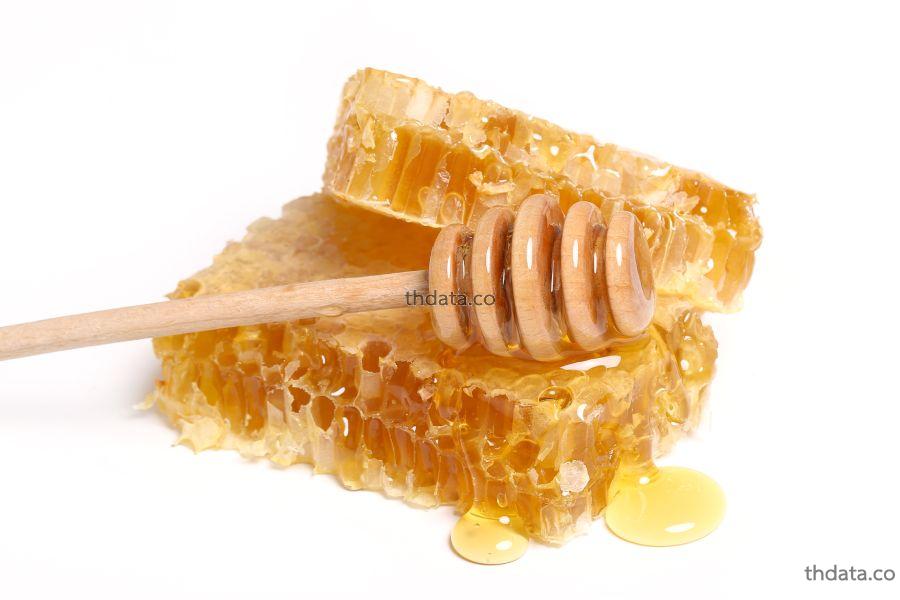 ผึ้ง สมุนไพร ผึ้ง สรรพคุณของผึ้ง thai-herbs.thdata.co thdata.co