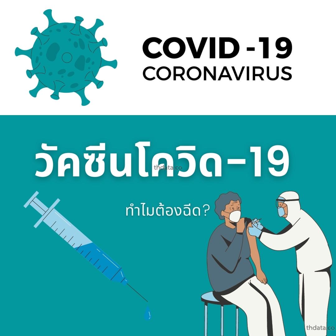 วัคซีนโควิด-19-ทำไมต้องฉีด สมุนไพร วัคซีนโควิด-19-ทำไมต้องฉีด สรรพคุณของวัคซีนโควิด-19-ทำไมต้องฉีด thai-herbs.thdata.co thdata.co