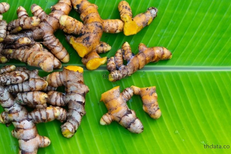 การแพทย์จีน การใช้สมุนไพรจีน  thai-herbs.thdata.co thdata.co
