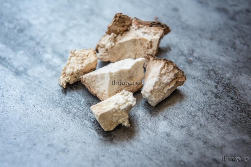 茯苓-หกเหล็ง สมุนไพร 茯苓-หกเหล็ง สรรพคุณของ茯苓-หกเหล็ง thai-herbs.thdata.co thdata.co