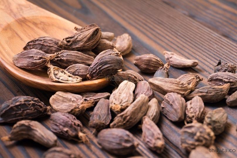 草果-เฉาก๊วย สมุนไพร 草果-เฉาก๊วย สรรพคุณของ草果-เฉาก๊วย thai-herbs.thdata.co thdata.co