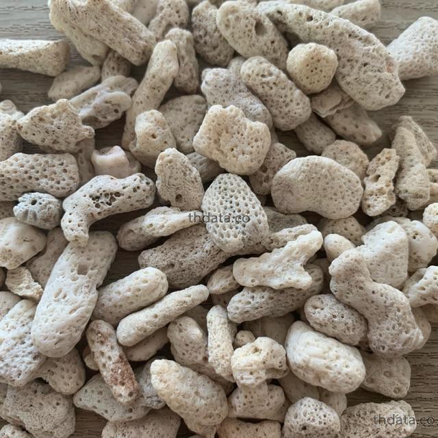 หินปะการัง สมุนไพร หินปะการัง สรรพคุณของหินปะการัง thai-herbs.thdata.co thdata.co