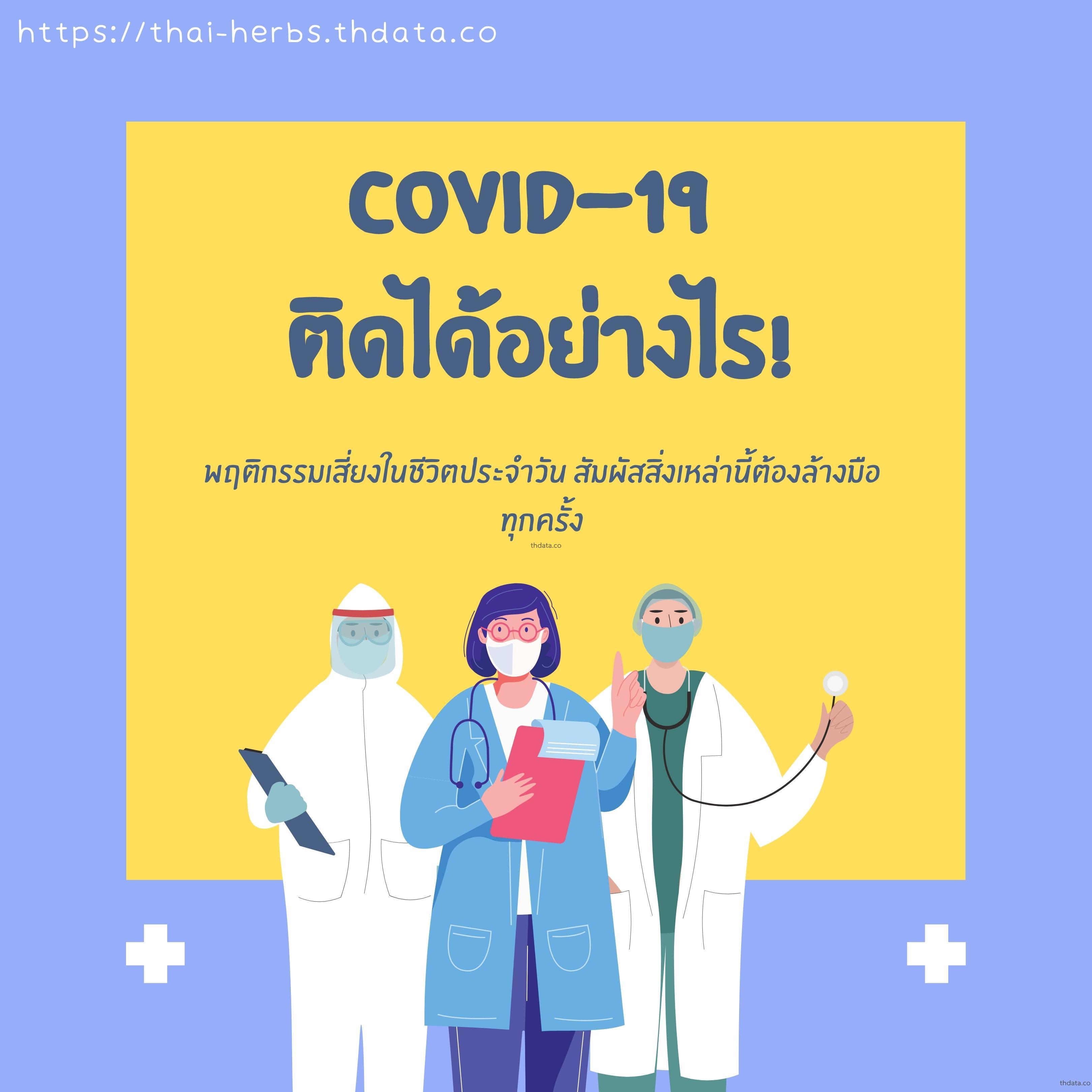 Covid-19-ติดได้อย่างไร สมุนไพร Covid-19-ติดได้อย่างไร สรรพคุณของCovid-19-ติดได้อย่างไร thai-herbs.thdata.co thdata.co