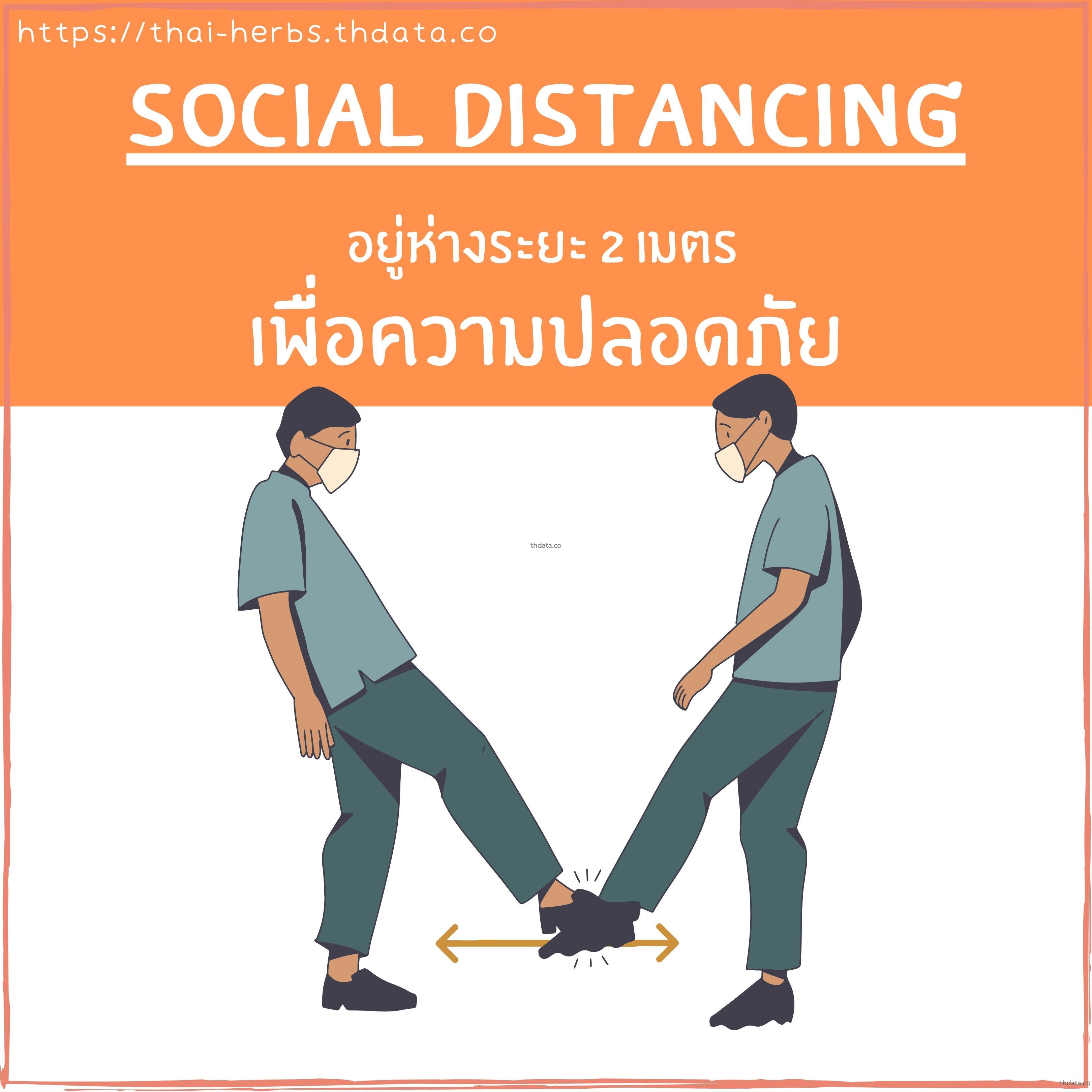 อยู่ห่างระยะ-2-เมตร-เพื่อความปลอดภัยจากละอองฝอยของคนที่ไอจาม สมุนไพร อยู่ห่างระยะ-2-เมตร-เพื่อความปลอดภัยจากละอองฝอยของคนที่ไอจาม สรรพคุณของอยู่ห่างระยะ-2-เมตร-เพื่อความปลอดภัยจากละอองฝอยของคนที่ไอจาม thai-herbs.thdata.co thdata.co