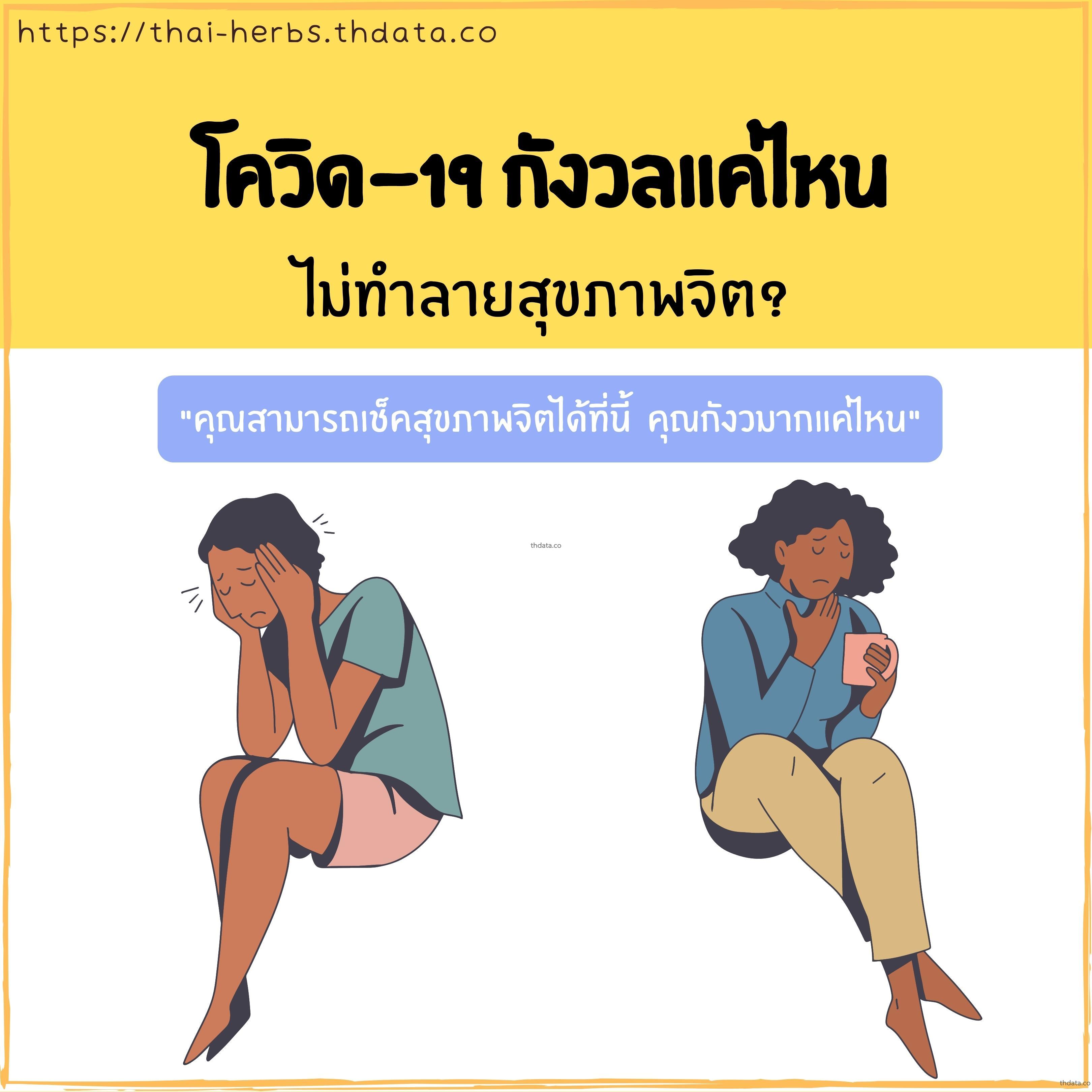 โควิด-19-กังวลแค่ไหน-ไม่ทำลายสุขภาพจิต สมุนไพร โควิด-19-กังวลแค่ไหน-ไม่ทำลายสุขภาพจิต สรรพคุณของโควิด-19-กังวลแค่ไหน-ไม่ทำลายสุขภาพจิต thai-herbs.thdata.co thdata.co
