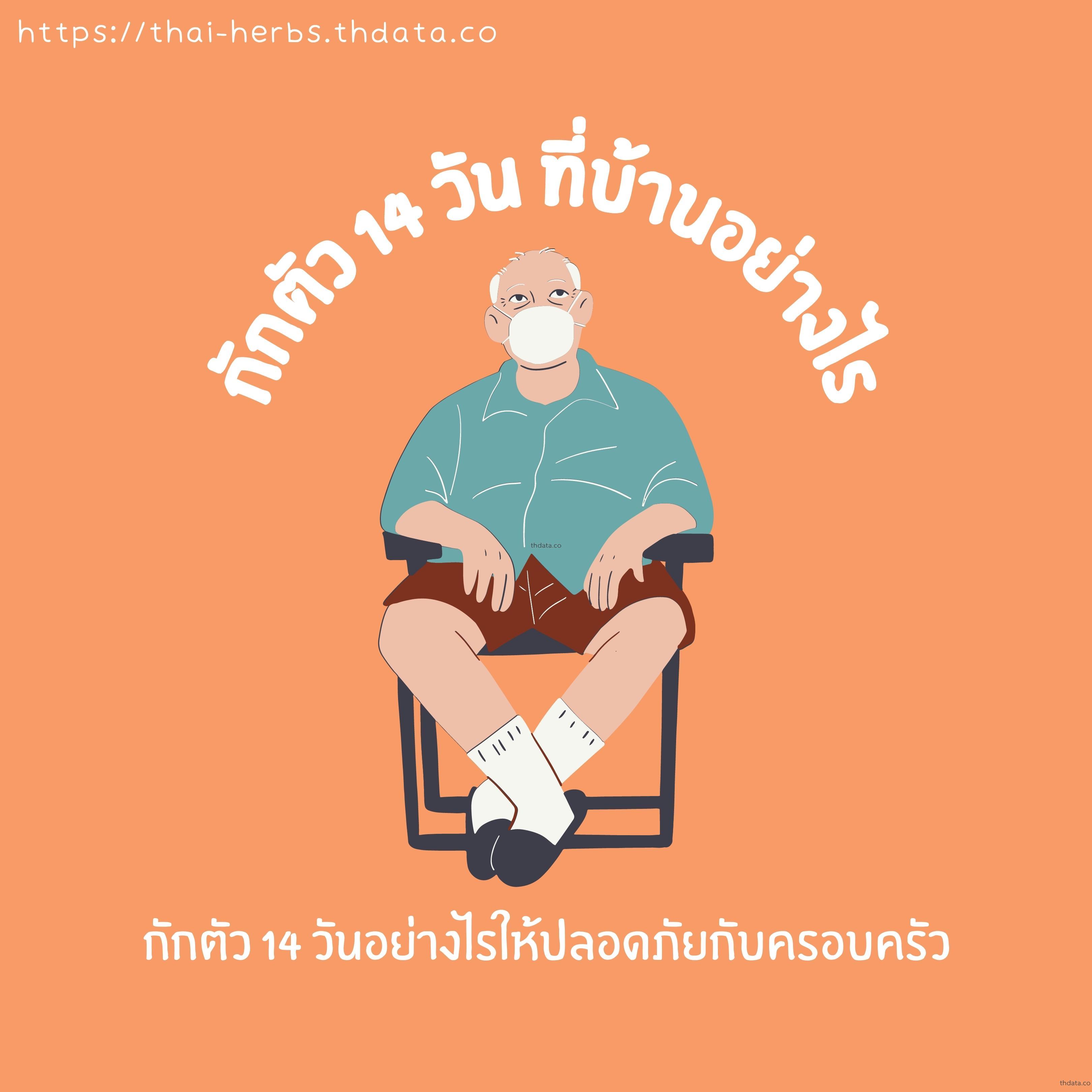 กักตัว-14-วันอย่างไรให้ปลอดภัยกับครอบครัว สมุนไพร กักตัว-14-วันอย่างไรให้ปลอดภัยกับครอบครัว สรรพคุณของกักตัว-14-วันอย่างไรให้ปลอดภัยกับครอบครัว thai-herbs.thdata.co thdata.co