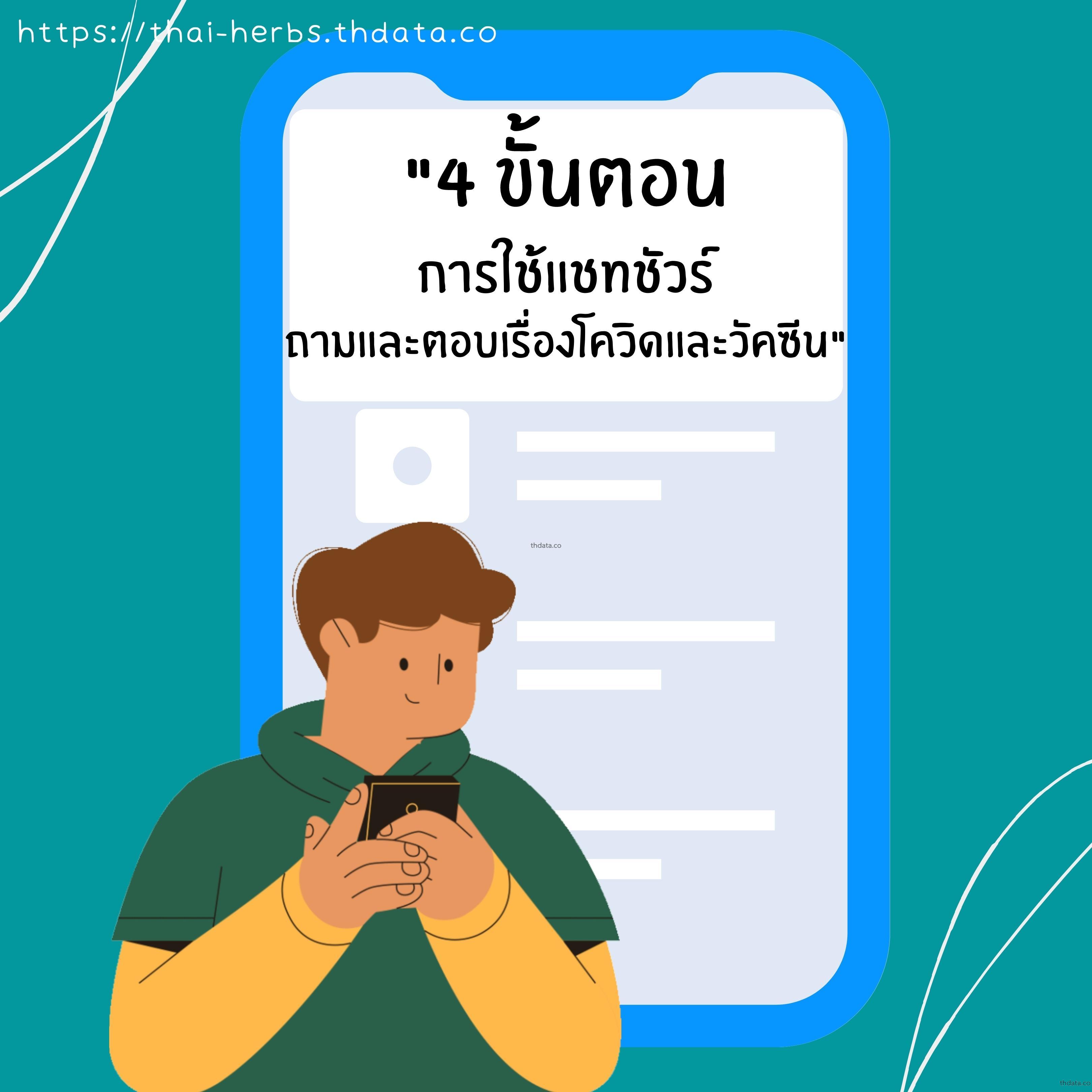 4-ขั้นตอน-การใช้-แชทชัวร์ สมุนไพร 4-ขั้นตอน-การใช้-แชทชัวร์ สรรพคุณของ4-ขั้นตอน-การใช้-แชทชัวร์ thai-herbs.thdata.co thdata.co