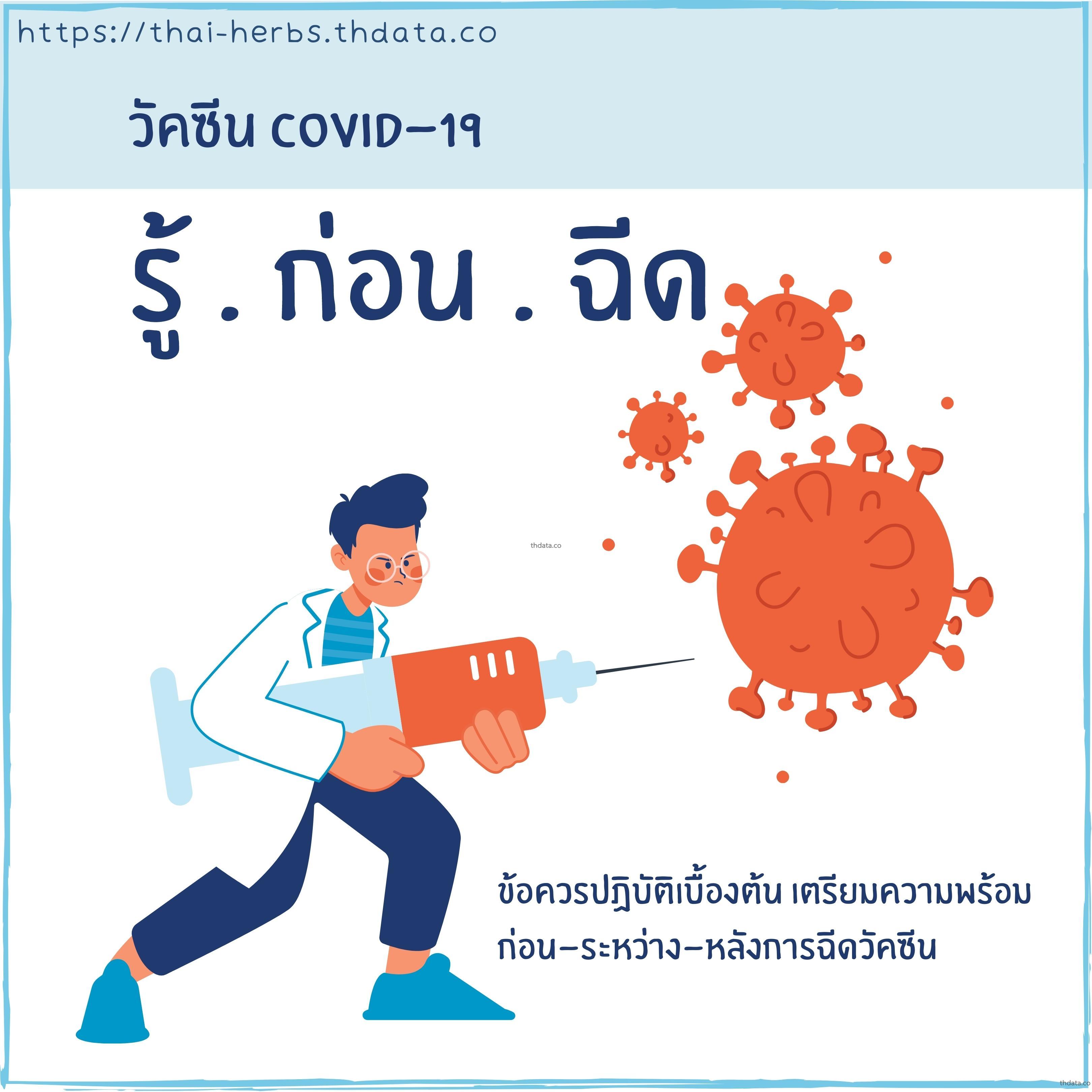 รู้ก่อนฉีดวัคซีนโควิด-19 สมุนไพร รู้ก่อนฉีดวัคซีนโควิด-19 สรรพคุณของรู้ก่อนฉีดวัคซีนโควิด-19 thai-herbs.thdata.co thdata.co
