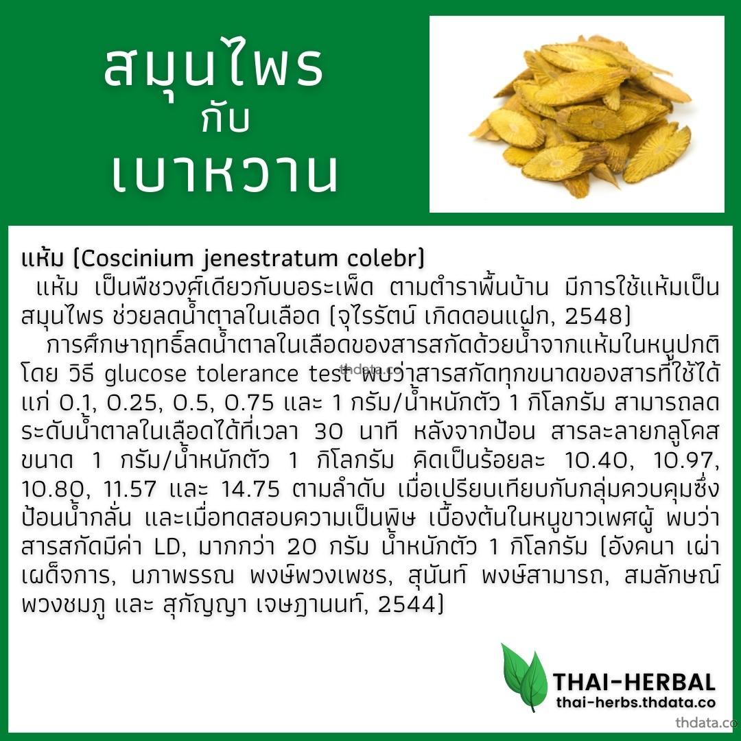 โรคเบาหวาน-กับ-สมุนไพรที่ได้รับการวิจัย-แห้ม สมุนไพร โรคเบาหวาน-กับ-สมุนไพรที่ได้รับการวิจัย-แห้ม สรรพคุณของโรคเบาหวาน-กับ-สมุนไพรที่ได้รับการวิจัย-แห้ม thai-herbs.thdata.co thdata.co