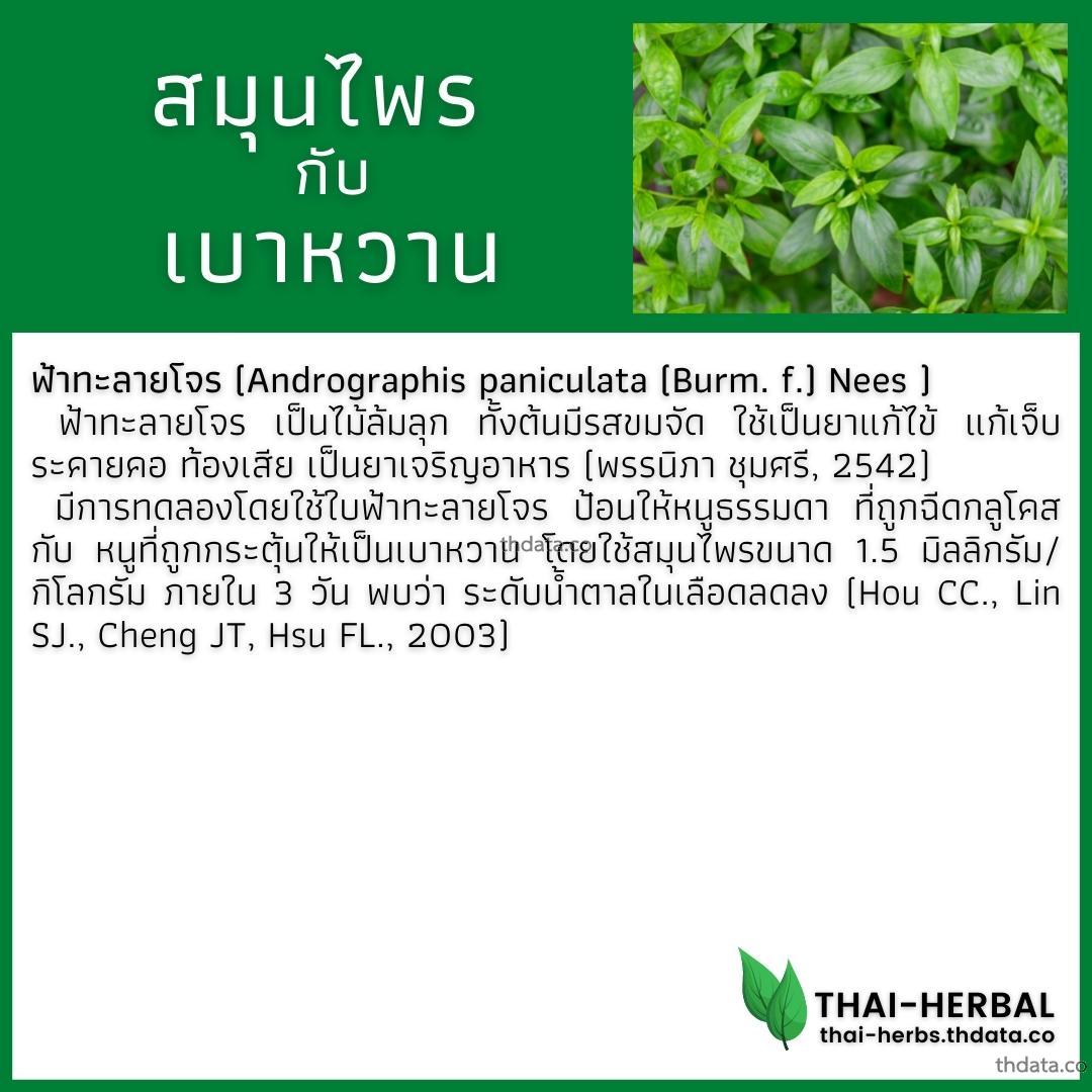 โรคเบาหวาน-กับ-สมุนไพรที่ได้รับการวิจัย-ฟ้าทะลายโจร สมุนไพร โรคเบาหวาน-กับ-สมุนไพรที่ได้รับการวิจัย-ฟ้าทะลายโจร สรรพคุณของโรคเบาหวาน-กับ-สมุนไพรที่ได้รับการวิจัย-ฟ้าทะลายโจร thai-herbs.thdata.co thdata.co
