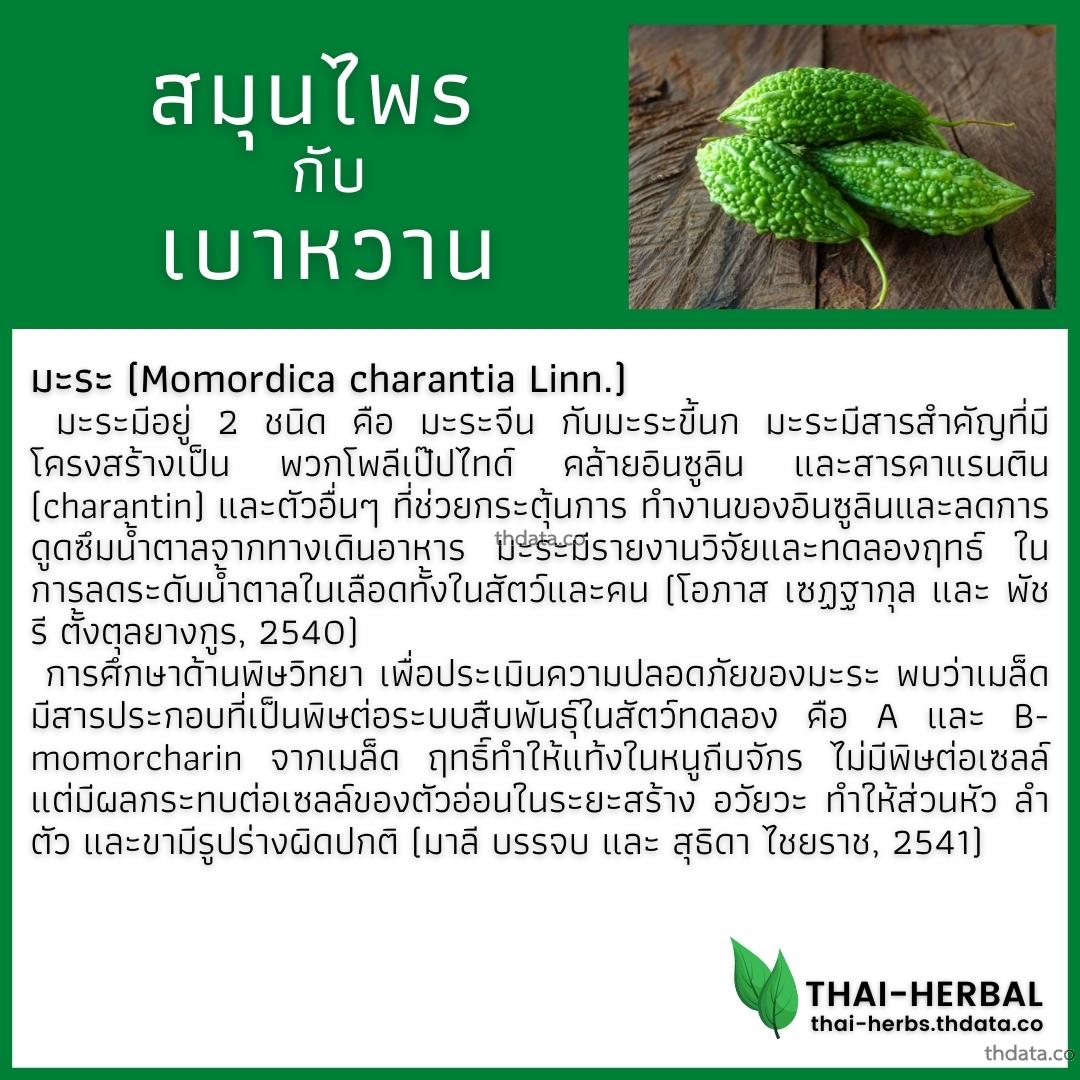 โรคเบาหวาน-กับ-สมุนไพรที่ได้รับการวิจัย-มะระ สมุนไพร โรคเบาหวาน-กับ-สมุนไพรที่ได้รับการวิจัย-มะระ สรรพคุณของโรคเบาหวาน-กับ-สมุนไพรที่ได้รับการวิจัย-มะระ thai-herbs.thdata.co thdata.co